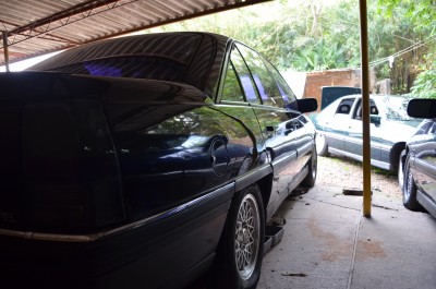 DSC_0015.JPG