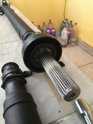 IMG_6846.jpg