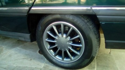 IMG_1017.JPG