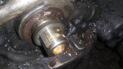 20181029_181808.jpg