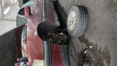 IMG_20240511_092221.jpg
