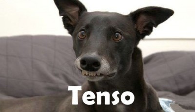 tensomeme.jpg
