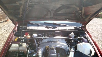 IMG_20160812_115839022.jpg